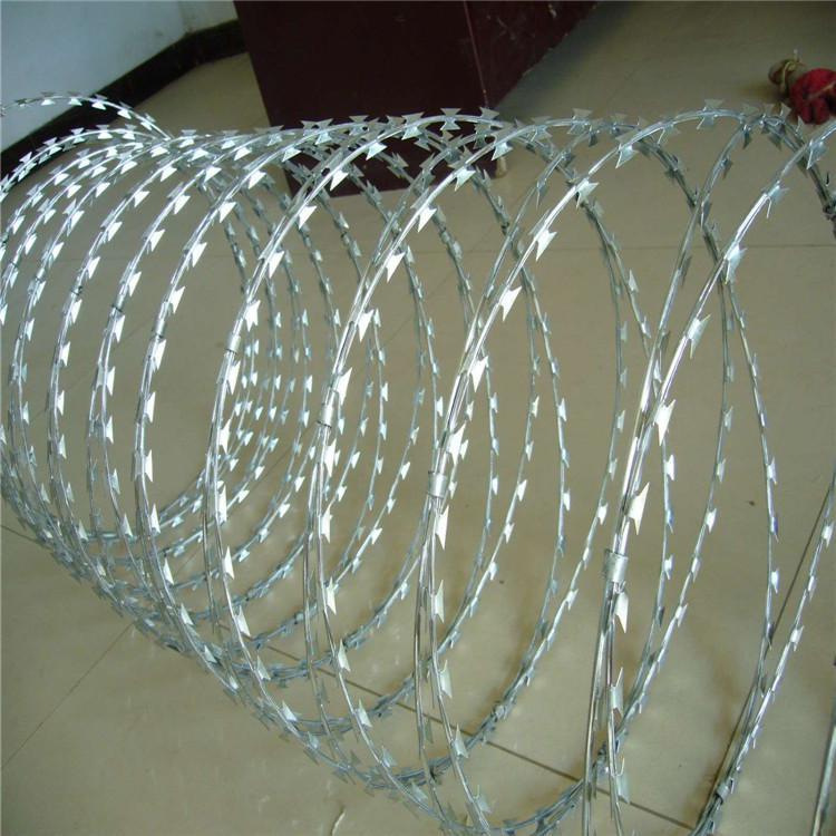 Stainless Steel Razor Wire 16